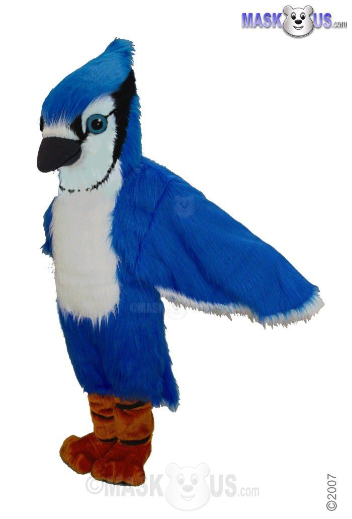 Blue Jays Mascot Name