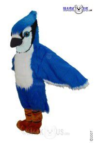 Blue Jay Mascot Costume T0146