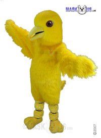 Canary Mascot Costume T0148
