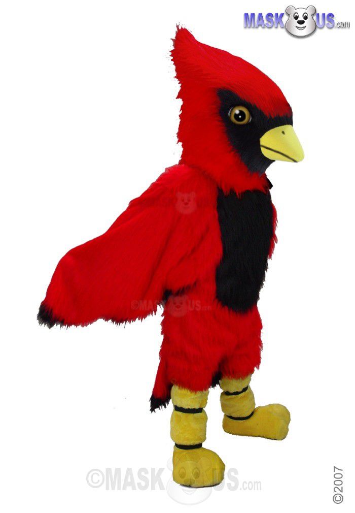 St. Louis Cardinals Plush Fred Red Bird Hat Embroidered Baseball MLB Mascot Nice