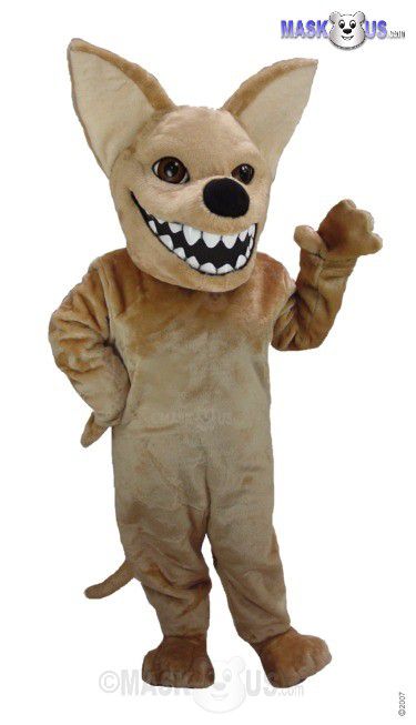 Chihuahua, Deluxe Adult Size Chihuahua Dog Mascot Costume - T0086