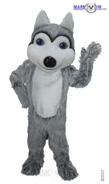 Friendly Husky Mascot Costume T0078