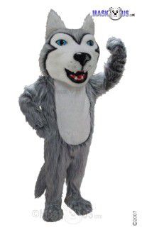 Husky Mascot Costume T0077
