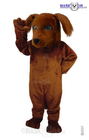 Irish Setter Mascot Costume T0076