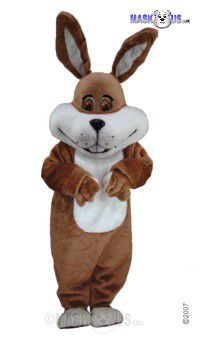 Super Brown Mascot Costume T0240