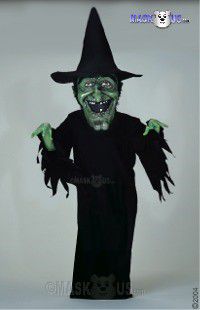Witch Mascot Costume 29192